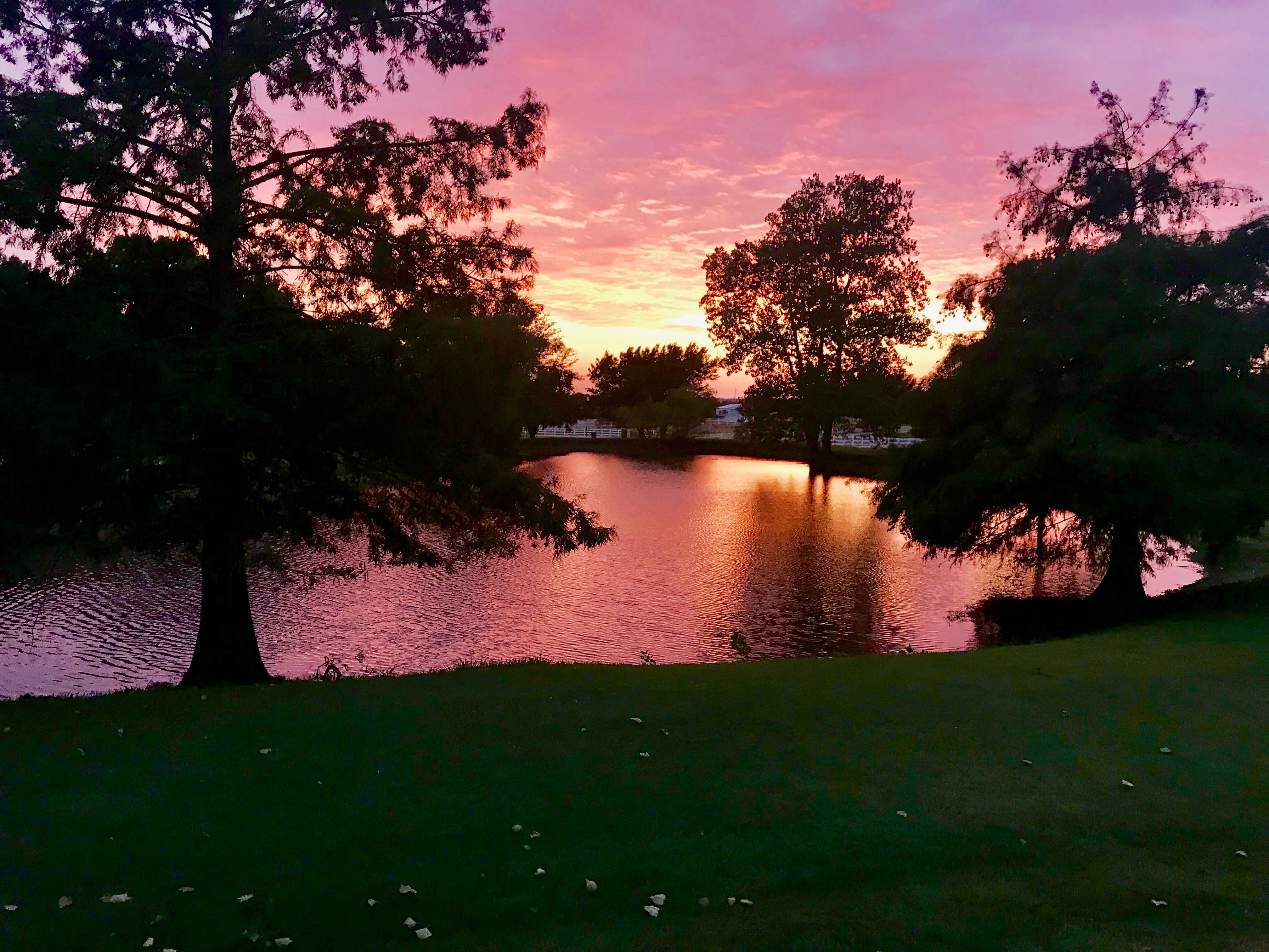 Argyle, TX