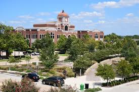 Artificial grass services in Lewisville, TX