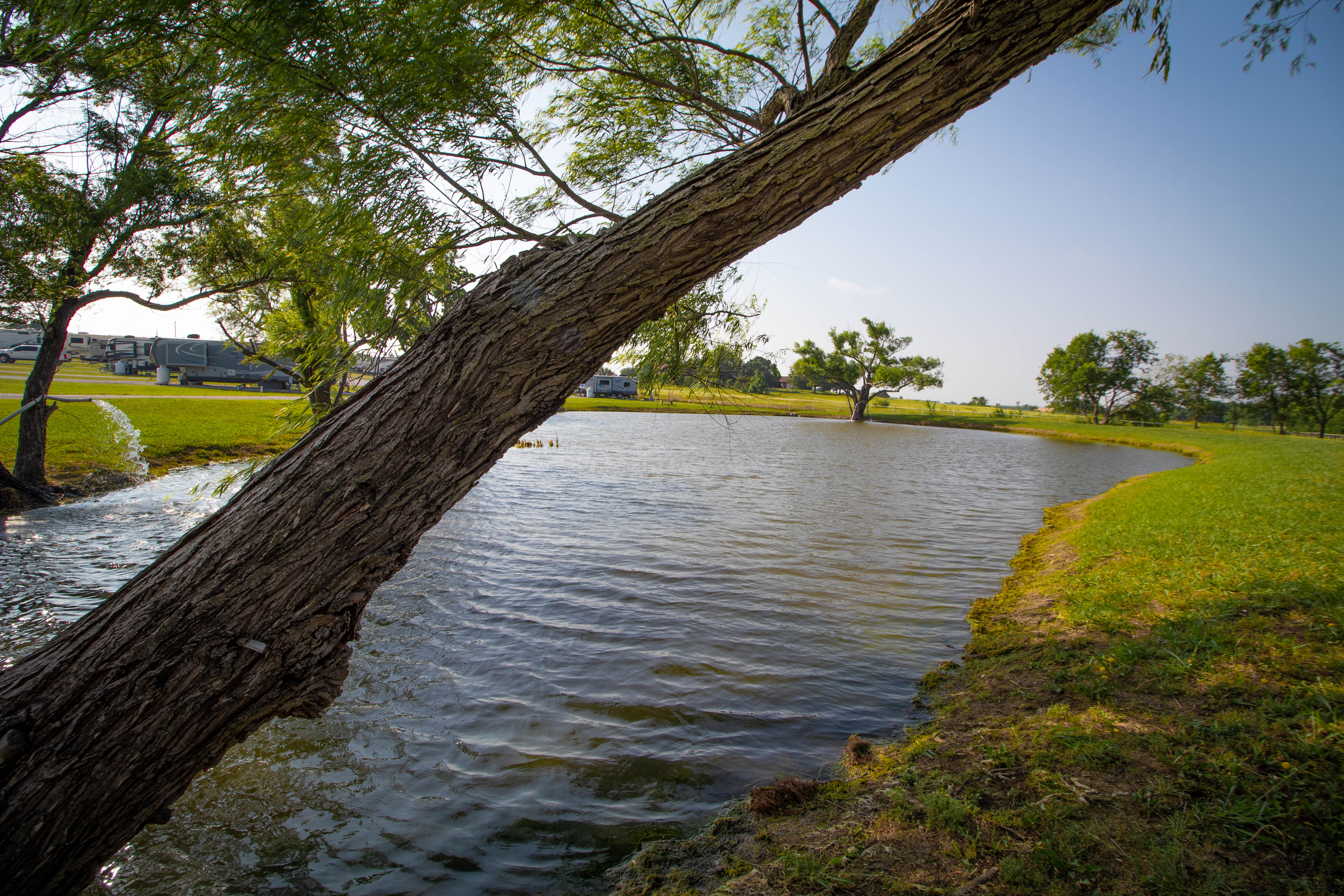 Artificial grass services in Sanger, TX