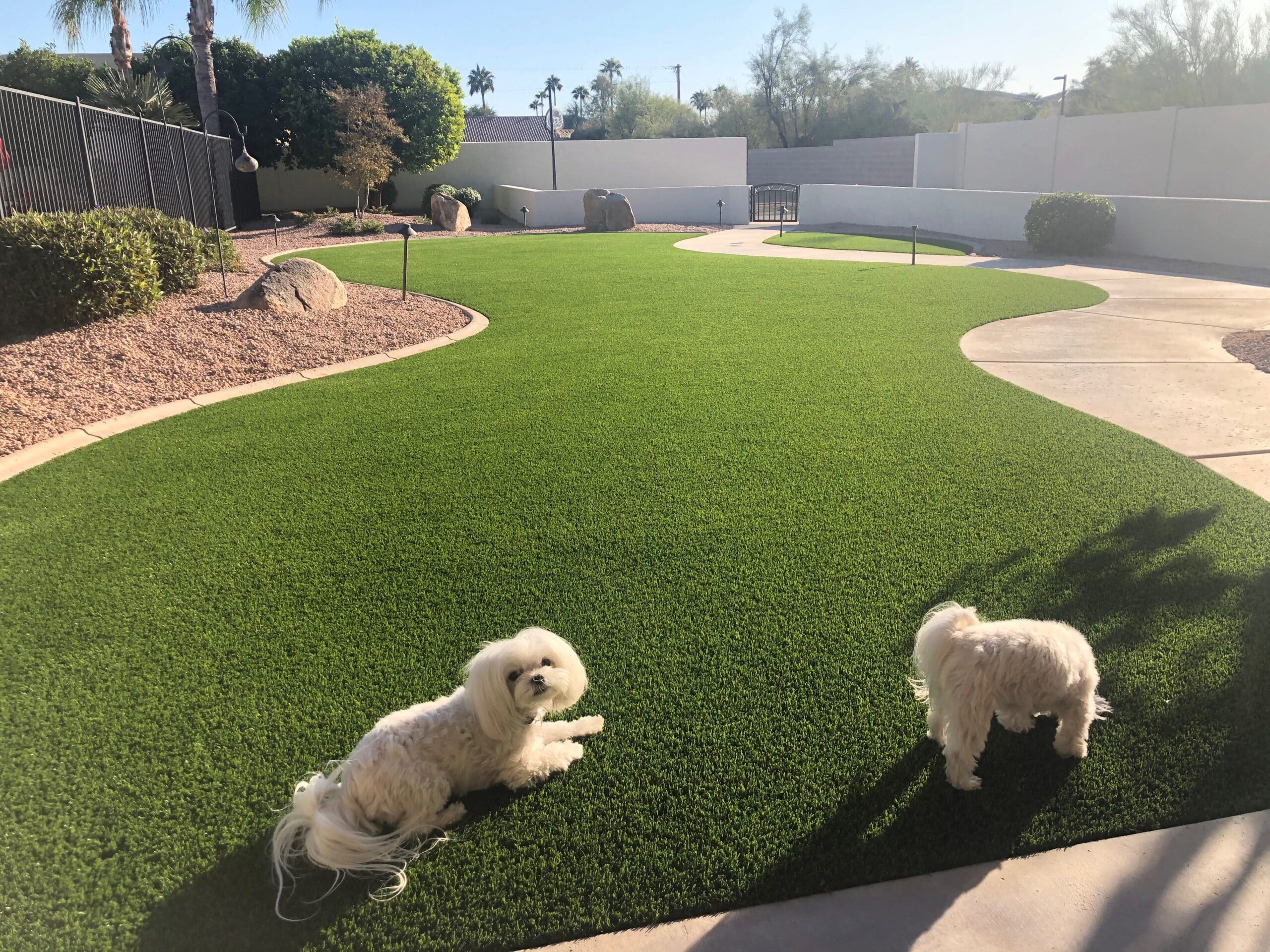 Artificial Grass Consultation