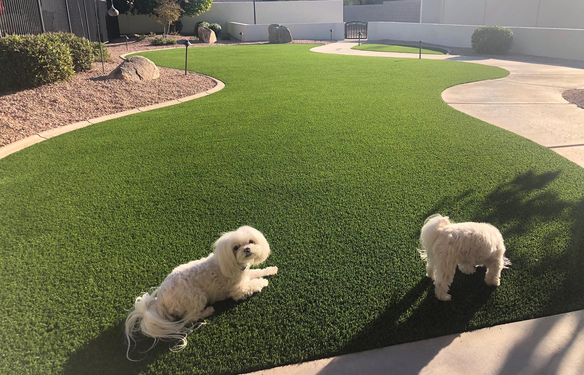 Pet Friendly Artificial Grass Installation